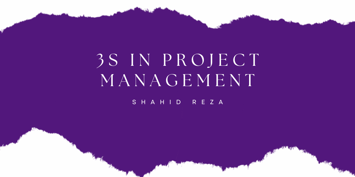 3S in project management